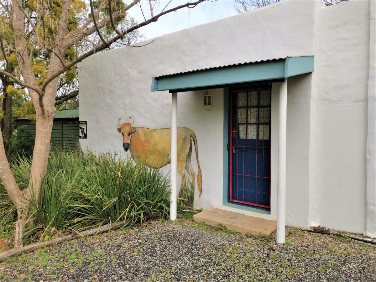 Studio Frangipani Solar Powered Ξενοδοχείο Greyton Εξωτερικό φωτογραφία
