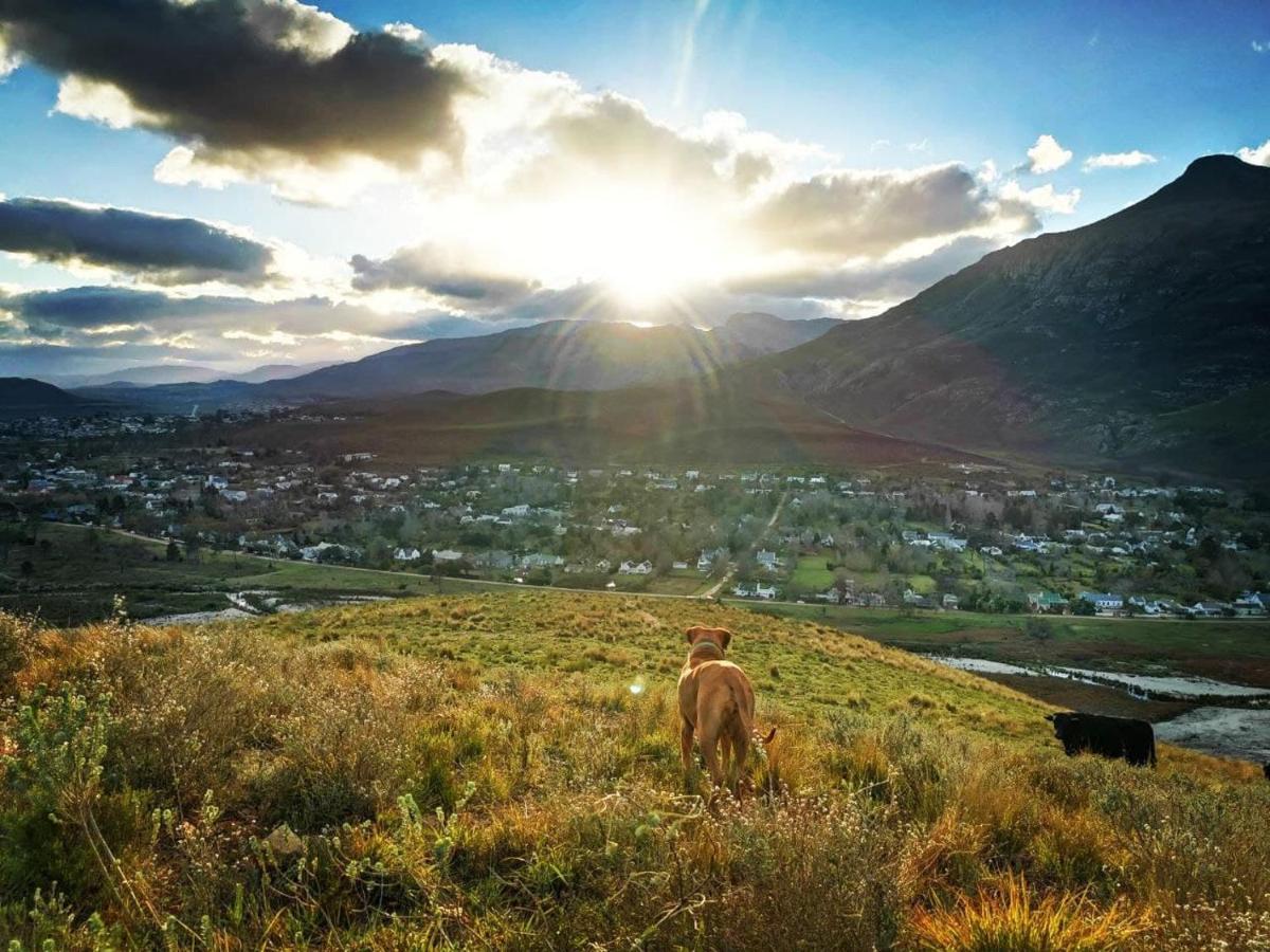 Studio Frangipani Solar Powered Ξενοδοχείο Greyton Εξωτερικό φωτογραφία